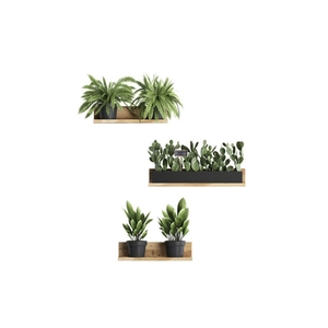 Three-tier wall-mounted wooden shelves with minimalist black pots and artificial greenery