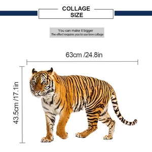 Detail showing dimensions of 63x43.5cm for realistic tiger wall sticker decal