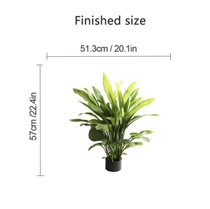 Detail showing dimensions of large green leaf wall sticker measuring 57cm by 51.3cm