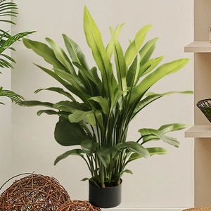 Bird Of Paradise Large Green Leaf Wall Sticker Removable Self Adhesive PVC Decal For Living Room Bedroom Home Wall Decor