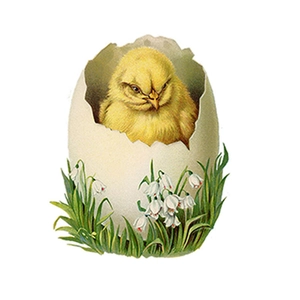 Schattige muursticker met kuiken dat uit ei komt en lelie van dalen voor huisdecoratie