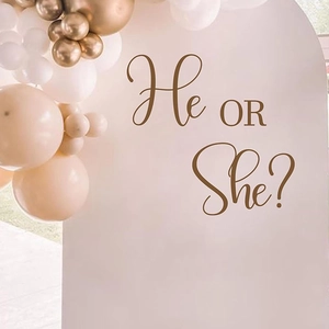 Elegant He or She gender reveal party wall decals with balloons in boho coffee tones
