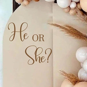 Detail of cream He or She gender reveal party backdrop with elegant brown lettering