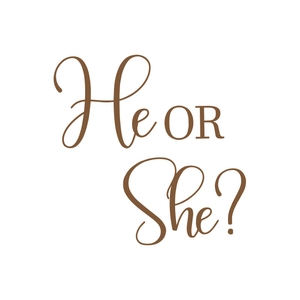 He or She wall decal for gender reveal party decor with elegant coffee brown lettering