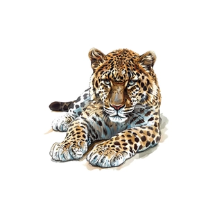 Realistic leopard wall sticker for living room with detailed yellow fur and blue eyes