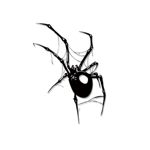 Self-adhesive Halloween spider wall stickers with realistic black web design for home decor