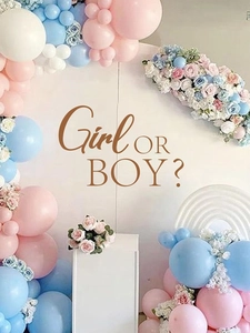 Close-up of gender reveal backdrop with pink and blue balloons and floral decorations