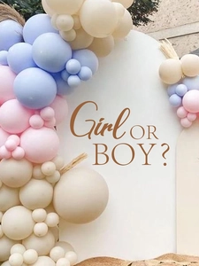 Detail of macaron pink and blue balloon arch for gender reveal party backdrop