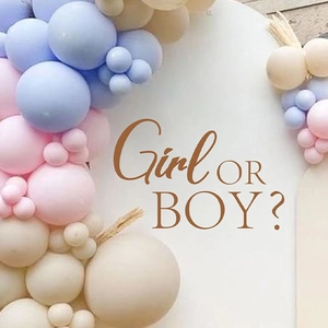 Gender reveal party balloon arch kit with pink blue and beige macaron latex balloons