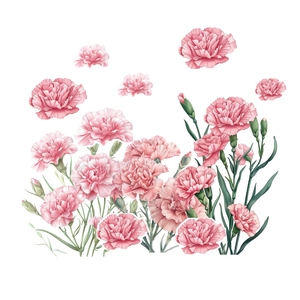 Pink watercolor carnation wall stickers for living room decor with floral design