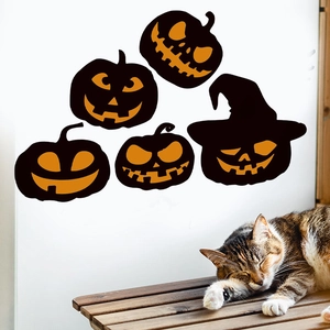 Detailed view of Halloween pumpkin wall stickers set on white wall with a tabby cat