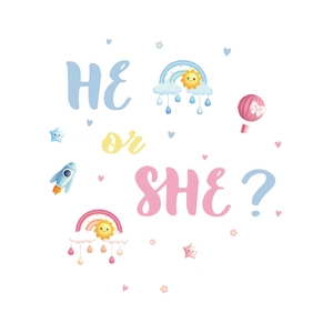 Gender reveal wall stickers with He or She text and colorful rainbow decorations