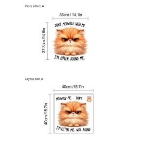 Angry orange cat wall sticker with Don't Meowdle with Me text for living room decor