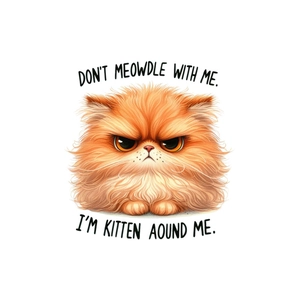 Angry orange cartoon cat wall sticker decal for home bedroom decor with funny English text