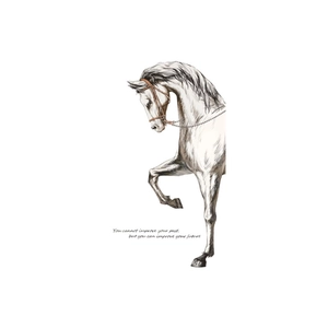 Minimalist white horse sketch wall sticker with motivational future quote art