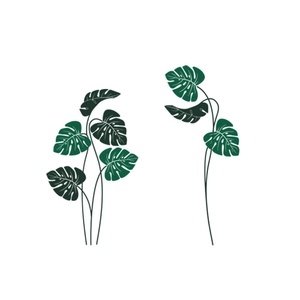 Green Monstera deliciosa banana leaf wall stickers with minimalist tropical plant design