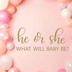 Pink Gender Reveal party backdrop with balloons and golden He or She text design