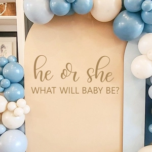 Gender Reveal Party wall decal with 'he or she' text and blue balloon arch decor