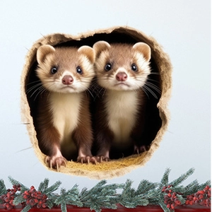 3D raccoon bathroom wall stickers with festive pine branches and berries decoration