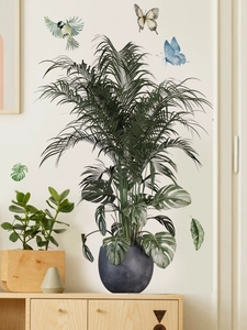 Detail of tropical monstera leaves and watercolor butterfly wall stickers for home decor