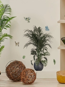Detail of tropical plant wall decals featuring birds and monstera leaves in watercolor