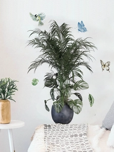 Detail of tropical plant wall stickers with butterflies and birds in a modern living room