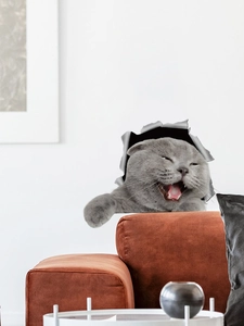Detaillierter 3D Katzen Wandaufkleber zeigt eine graue Katze, die durch die Wand bricht