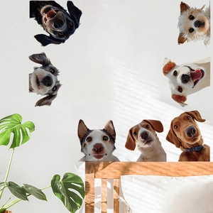 Adesivi Murali 3D Cane Che Sbircia Rimovibili Impermeabili in PVC Animali Realistici per Bagno Toilette Soggiorno Casa