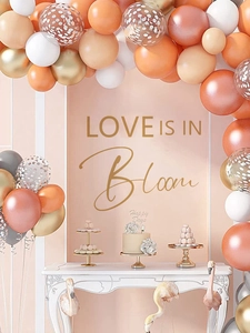 Dettaglio del kit arco di palloncini Love in Bloom con palloncini oro rosa e champagne