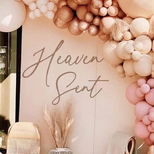 Heaven Sent theme party balloon arch kit with pink and gold balloons for baby shower