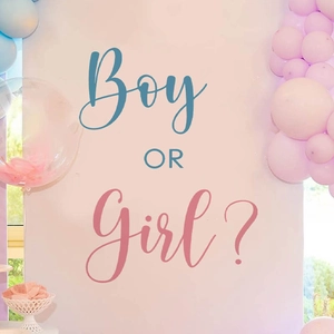 Stickers muraux pour fête de révélation de genre en rose et bleu avec texte 'Boy OR Girl?'