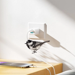 Bird wall sticker decor with minimalist power adapter on wall socket and bird on cable