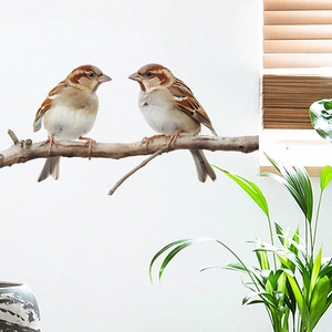Adesivi murali uccelli realistici su un ramo per cucina e soggiorno decorativi