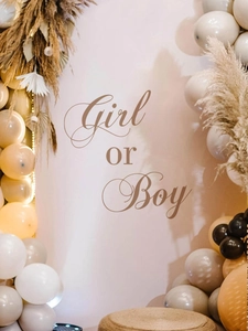 Detail view of Girl or Boy gender reveal party backdrop with elegant balloon arch and dry flowers