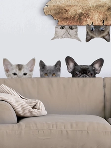 Detail von 3D Realistischen Katzen- und Hunde-Wandaufklebern mit Tieren an der Wand