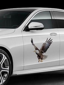 Detailed realistic eagle wall sticker with brown and white feathers on a white surface