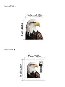 Detail showing layout dimensions and paste effect of a bald eagle PVC wall sticker