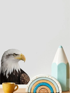 Macro detail of realistic bald eagle wall decal with high definition feather textures