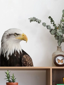 Detailed close-up of a bald eagle head wall sticker with realistic feather texture on white wall