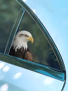 Realistic bald eagle head vinyl wall sticker showing detailed feathers on a glass window