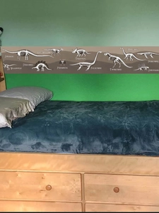 Dinosaur fossil skeleton wall border stickers showing long diplodocus and T-Rex decals