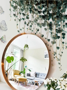 Detail showing round rose gold mirror with butterfly wall decals and hanging plants