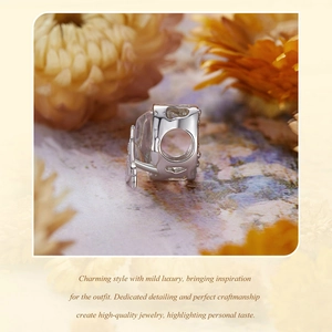 Detailed macro view of S925 sterling silver dragonfly bead with intricate hollow patterns