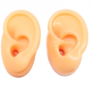 Modelli di orecchie in silicone per insegnamento medico e display di gioielli