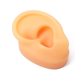 Vista macro che mostra la struttura realistica e l'anatomia del modello d'orecchio in silicone