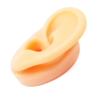 Modello di orecchio in silicone flessibile dettagliato con anatomia realistica su base bianca