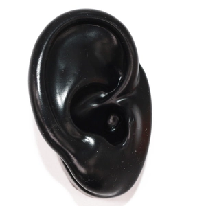 Modello di orecchio umano in silicone nero per gioielli e dimostrazione medica