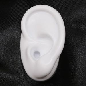 Modello di orecchio in silicone bianco per insegnamento medico e display di gioielli