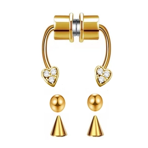 Makroansicht des magnetischen Septum-Ring-Sets mit Herzzirkon und Wechselaufsätzen