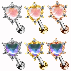Set di orecchini a lobo a cuore in acciaio inossidabile con pietre di zircone cubico